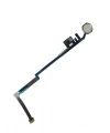 Ipad A1822 Home Buton Beyaz