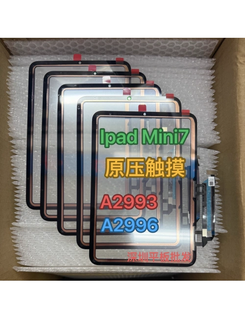 iPad Mini 7 A2993 A2995 A2996 Dokunmatik Lens Ocalı