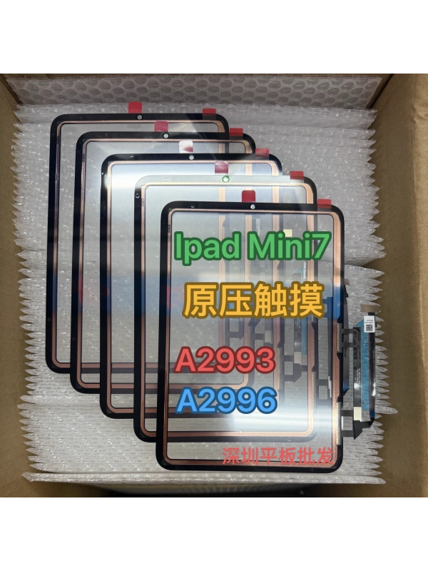 iPad Mini 7 A2993 A2995 A2996 Dokunmatik Lens Ocalı