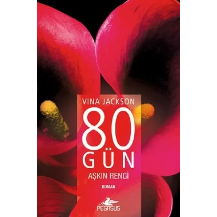 80 Gün - Aşkın Rengi