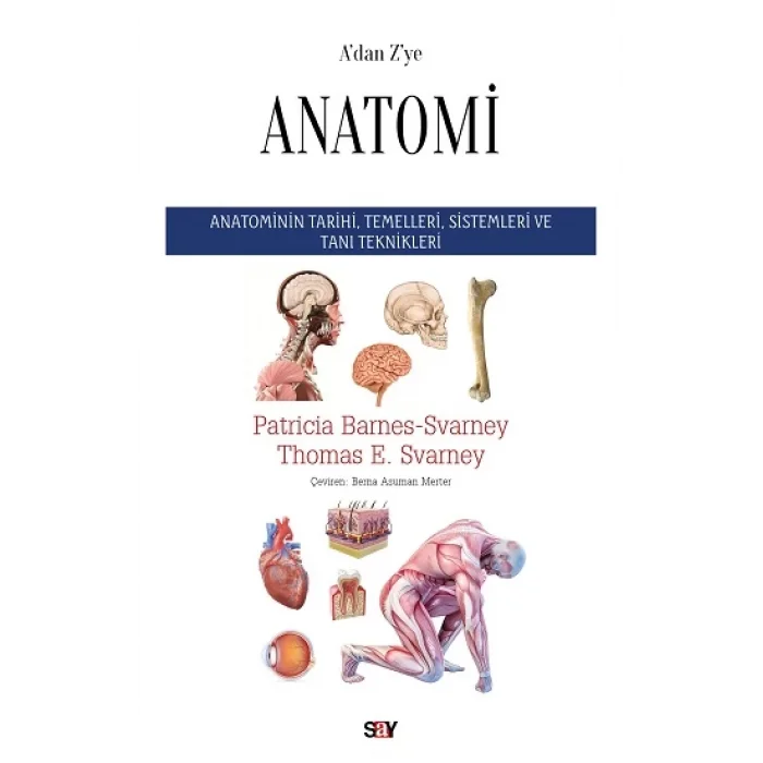 Adan Zye Anatomi
