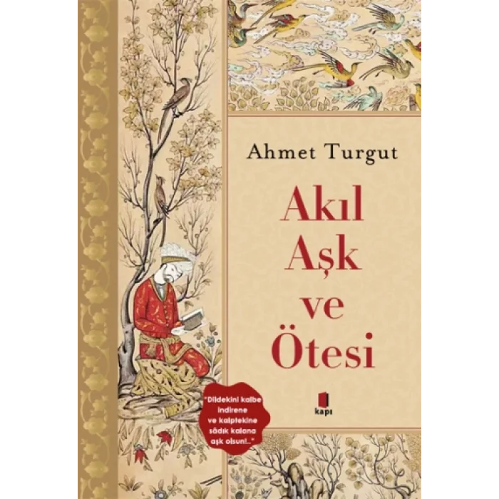 Akıl Aşk ve Ötesi