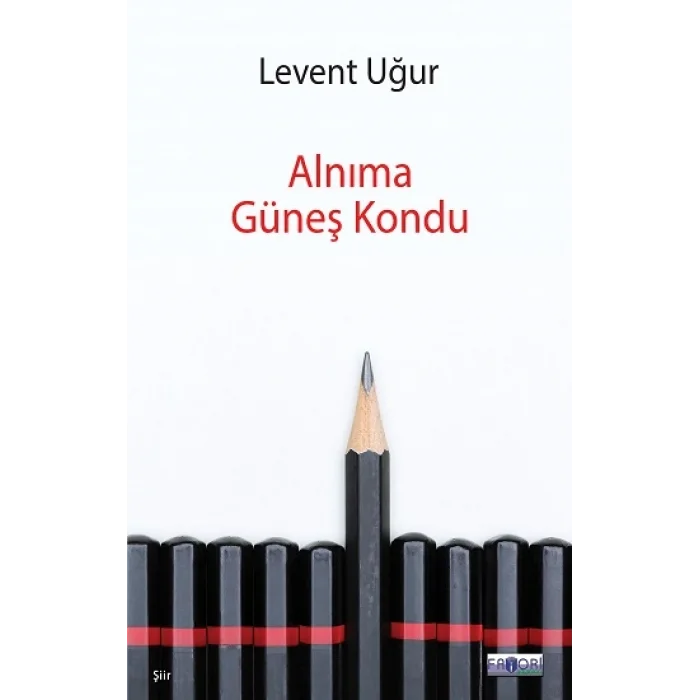 Alnıma Güneş Kondu