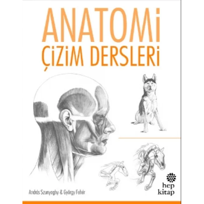 Anatomi Çizim Dersleri