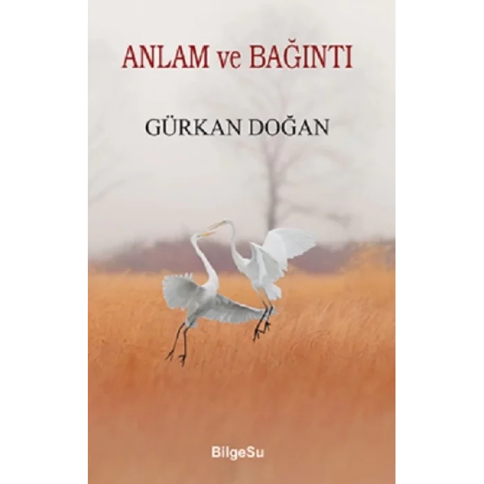 Anlam Ve Bağıntı