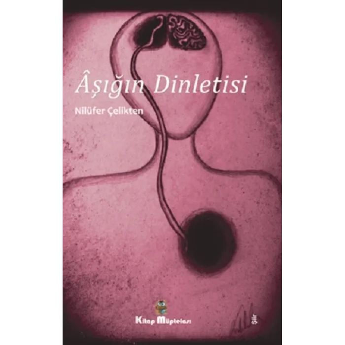 Aşığın Dinletisi