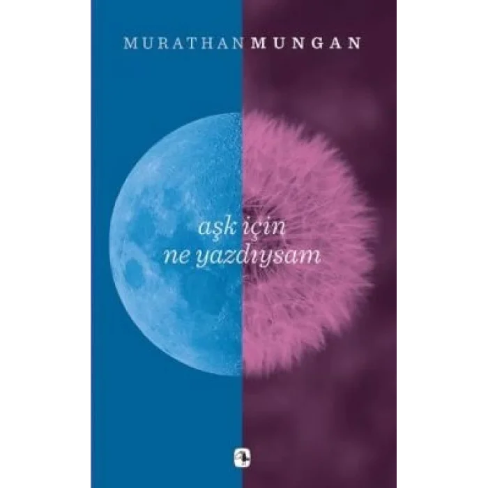 Aşk İçin Ne Yazdıysam