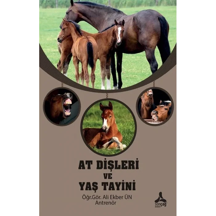 At Dişleri ve Yaş Tayini