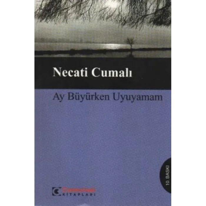 Ay Büyürken Uyuyamam