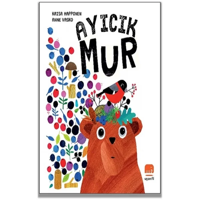 Ayıcık Mur (Ciltli)