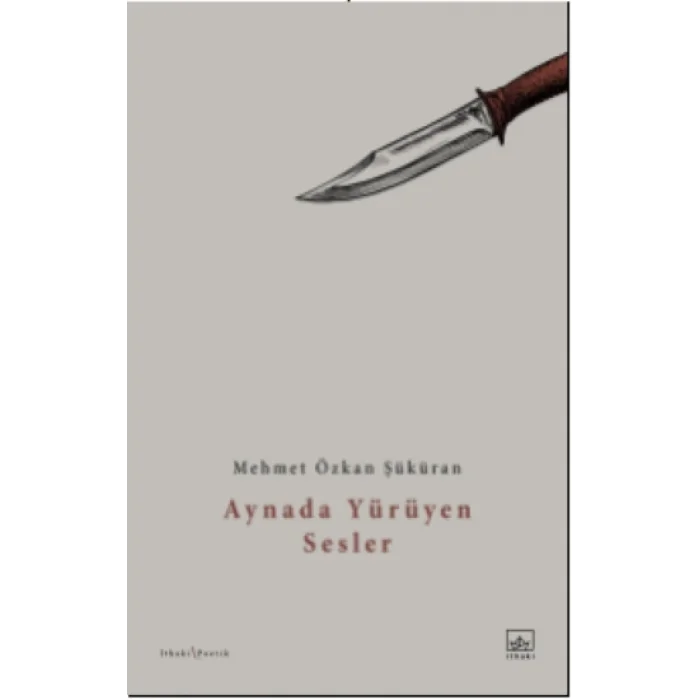 Aynada Yürüyen Sesler