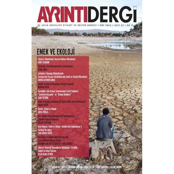 Ayrıntı Dergi - Güz 2024 (47. Sayı)