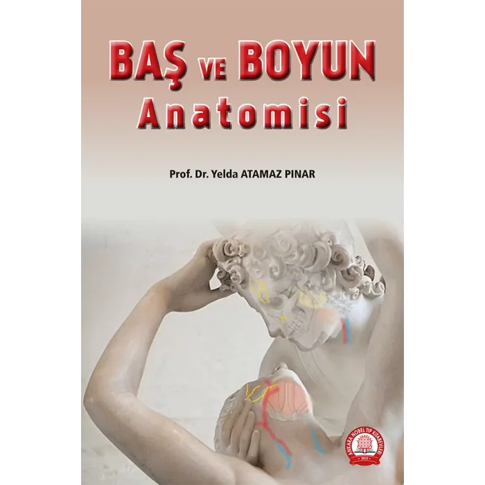 Baş ve Boyun Anatomisi