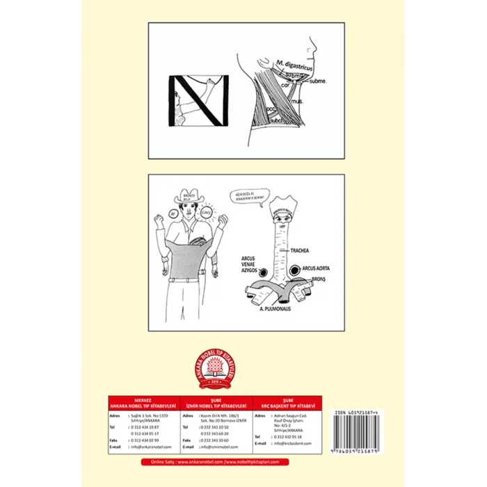 Basitleştirilmiş Klinik Anatomi