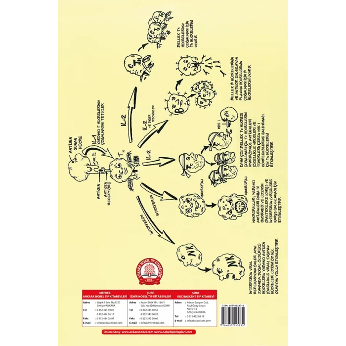 Basitleştirilmiş Klinik Fizyoloji