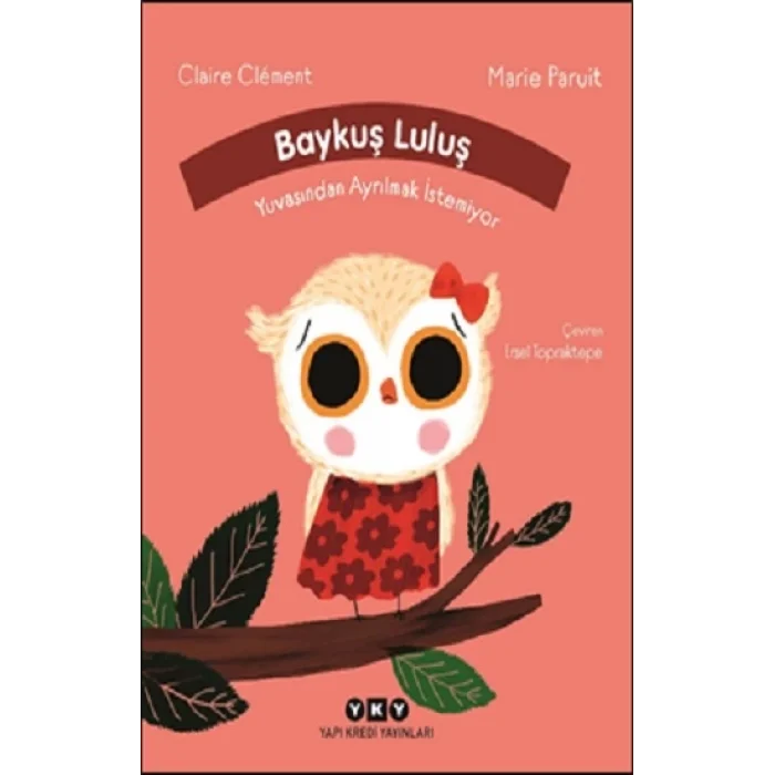 Baykuş Luluş Yuvasından Ayrılmak İstemiyor