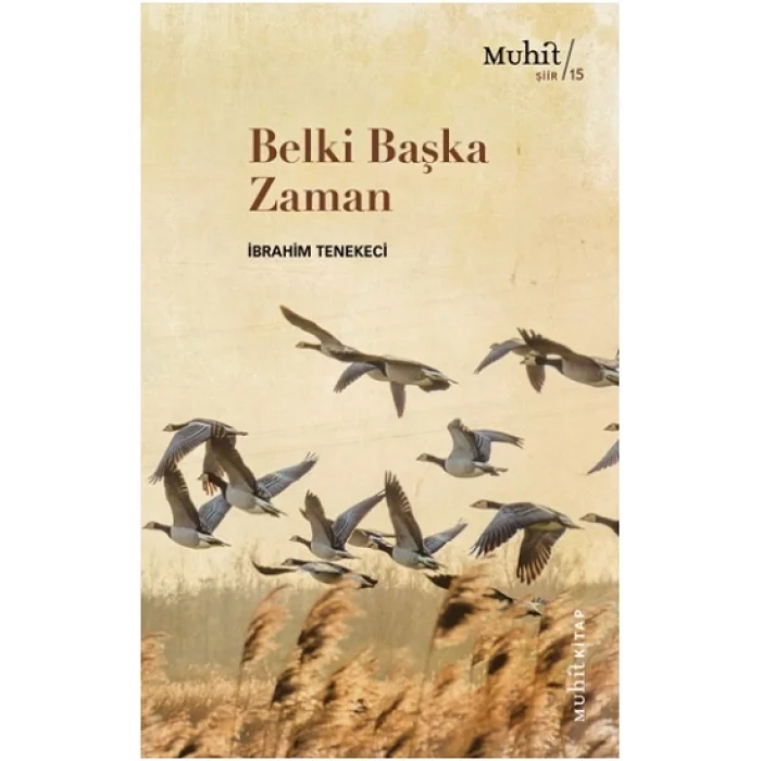 Belki Başka Zaman