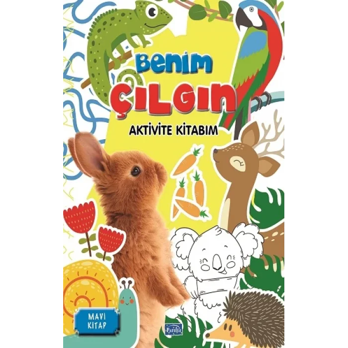 Benim Çılgın Aktivite Kitabım - Mavi Kitap