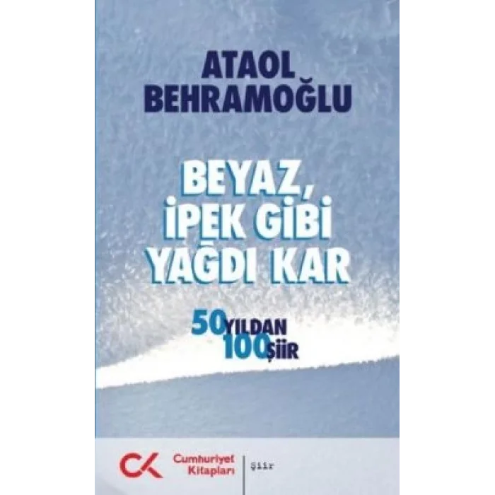 Beyaz İpek Gibi Yağdı Kar