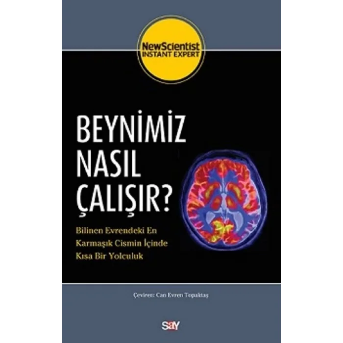 Beynimiz Nasıl Çalışır?