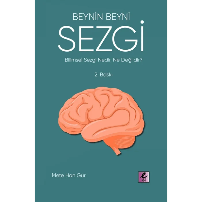 Beynin Beyni Sezgi