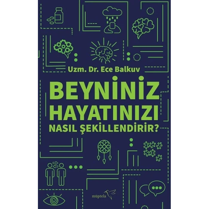Beyniniz Hayatınızı Nasıl Şekillendirir?