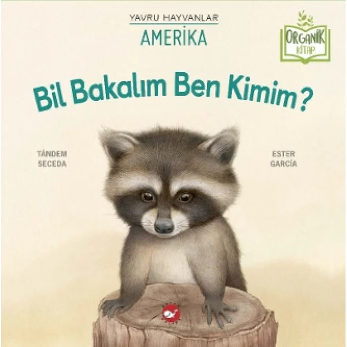 Bil Bakalım Ben Kimim?  Amerika