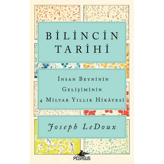 Bilincin Tarihi - İnsan Beyninin Gelişiminin 4 Milyar Yıllık Hikayesi