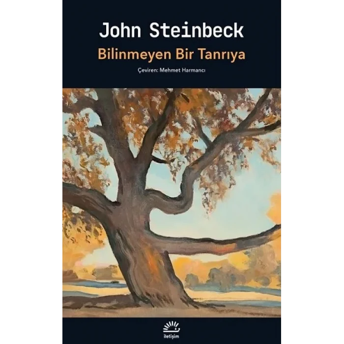 Bilinmeyen Bir Tanrıya