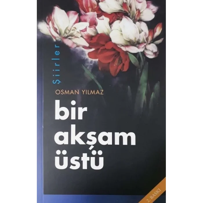 Bir Akşam Üstü
