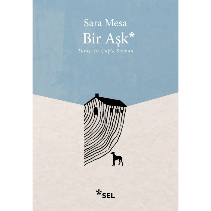 Bir Aşk