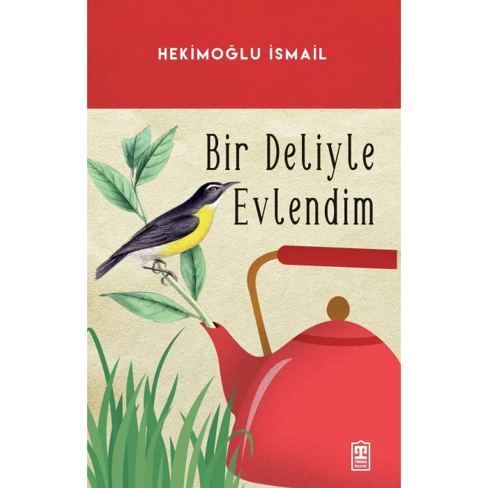 Bir Deliyle Evlendim