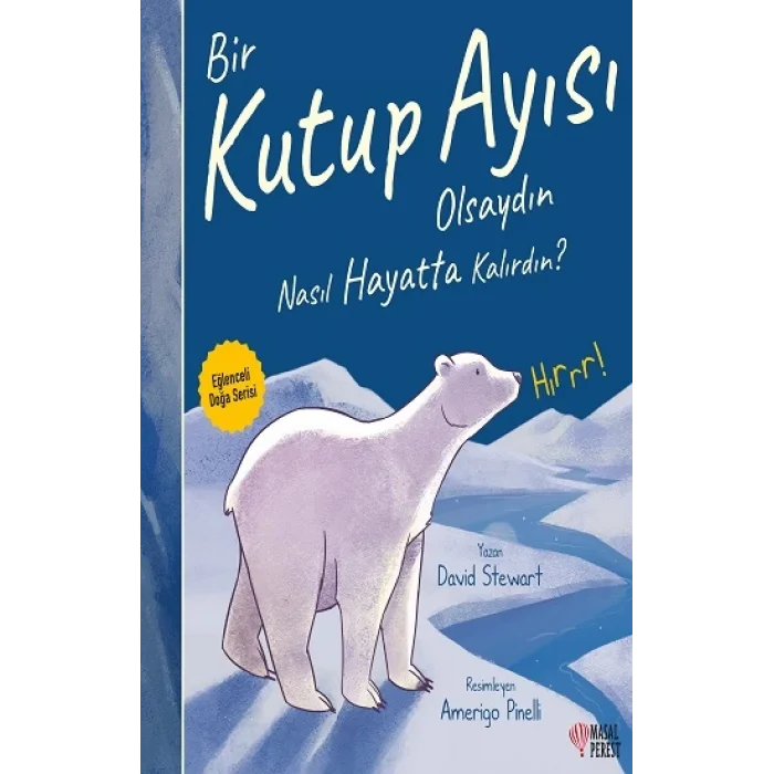 Bir Kutup Ayısı Olsaydın Nasıl Hayatta Kalırdın?