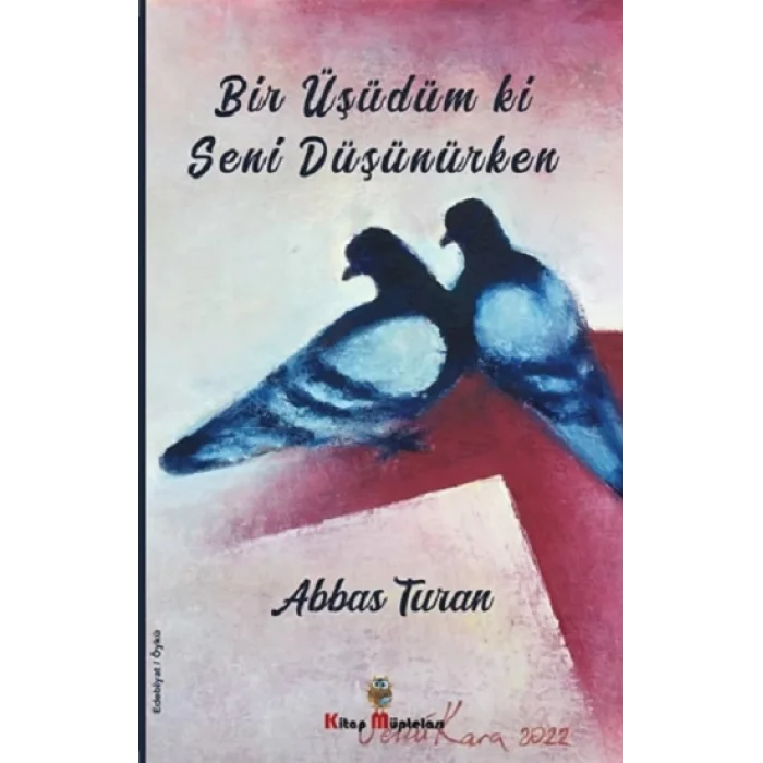 Bir Üşüdüm ki Seni Düşünürken