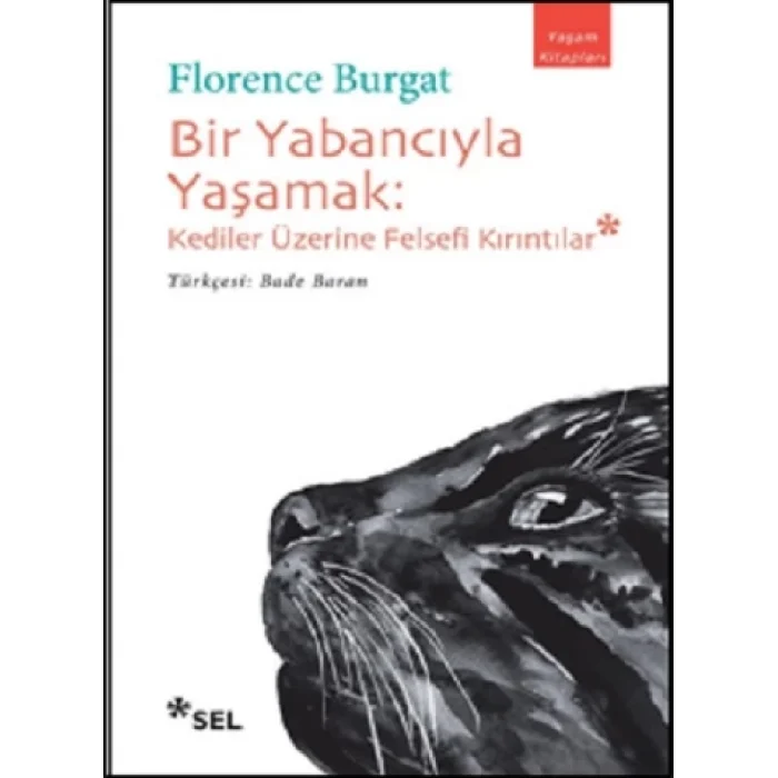 Bir Yabancıyla Yaşamak