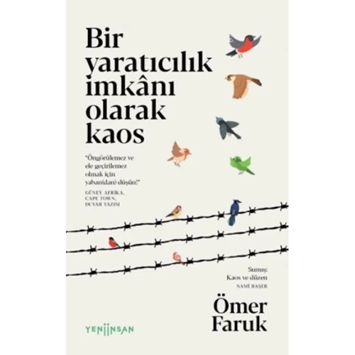 Bir Yaratıcılık İmkânı Olarak Kaos