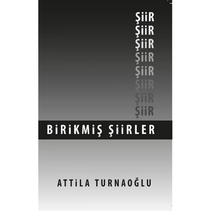 Birikmiş Şiirler