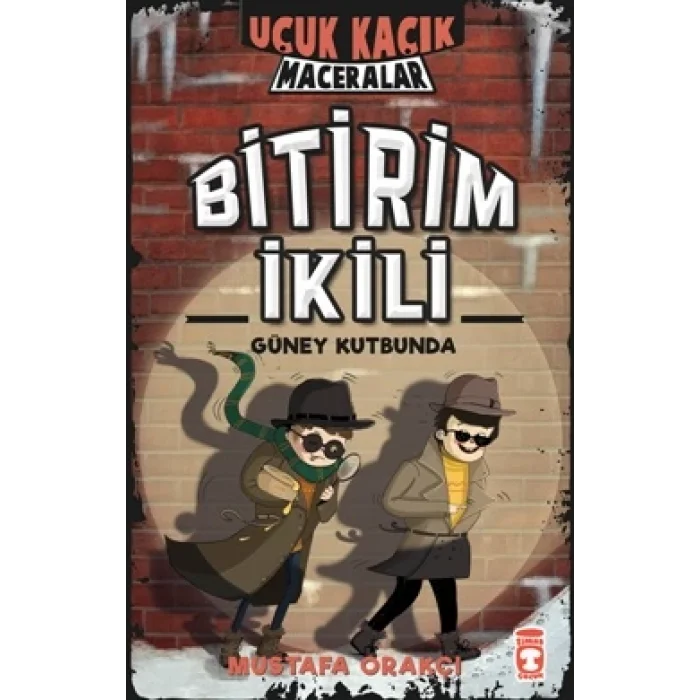 Bitirim İkili Güney Kutbunda