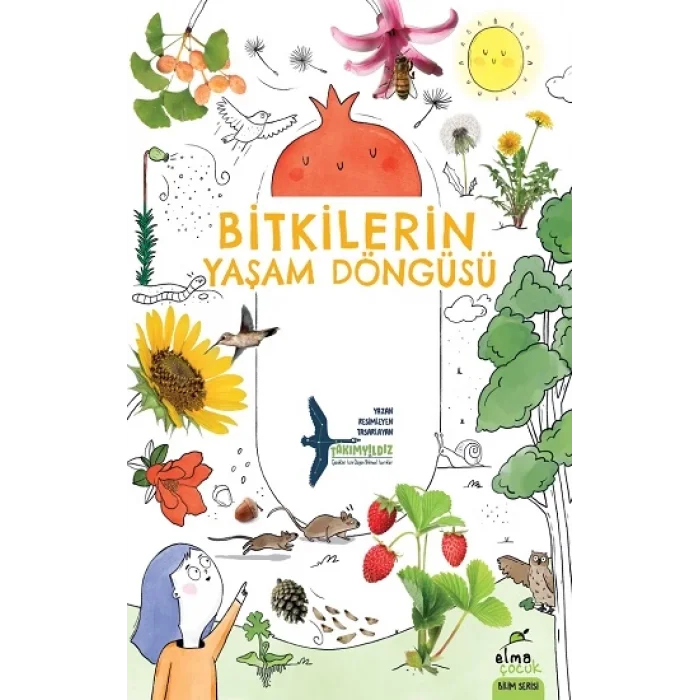 Bitkilerin Yaşam Döngüsü