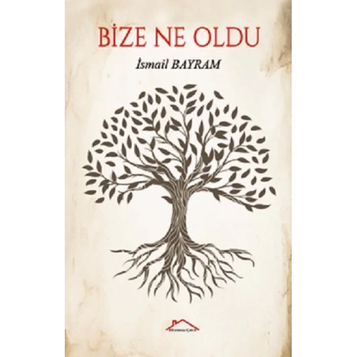 Bize Ne Oldu