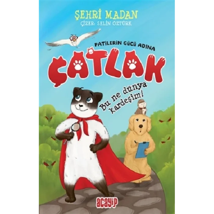 Bu Ne Dünya Kardeşim! - Çatlak