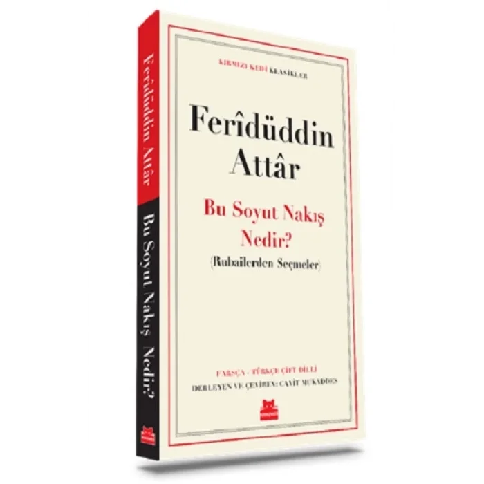 Bu Soyut Nakış Nedir ?