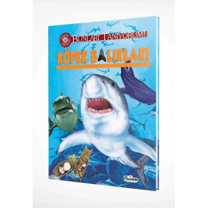 Bunları Tanıyorum! - Köpek Balıkları (Ciltli)