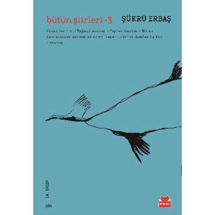 Bütün Şiirleri - 3