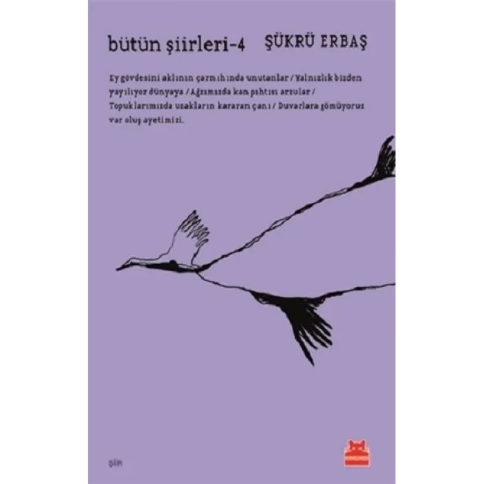 Bütün Şiirleri -4