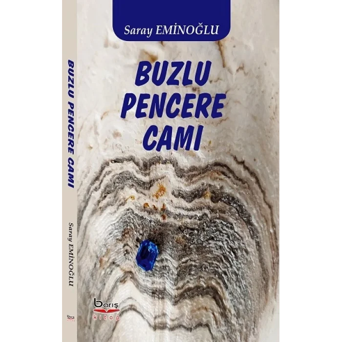 Buzlu Pencere Camı