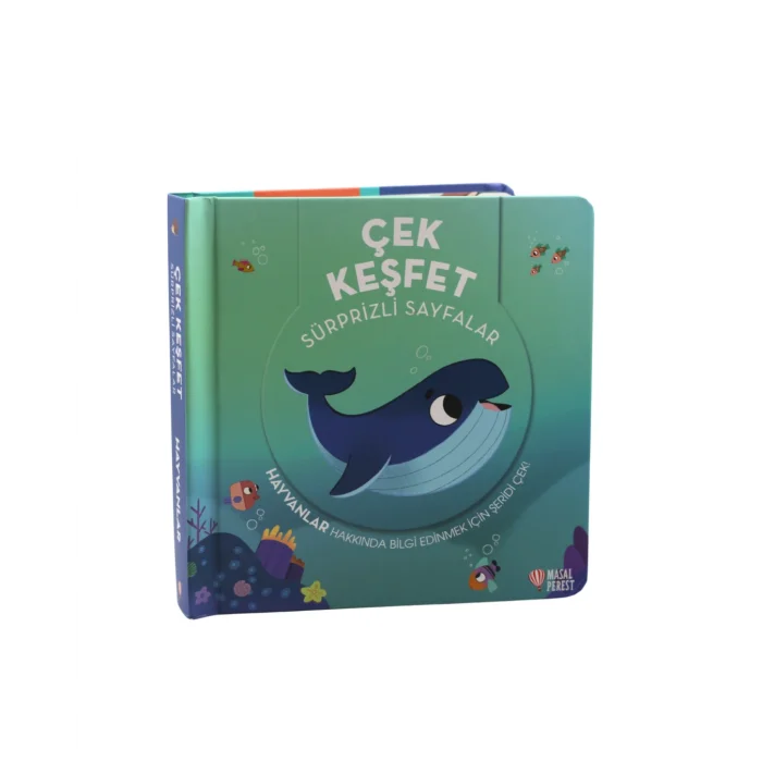 Çek Keşfet Hayvanlar