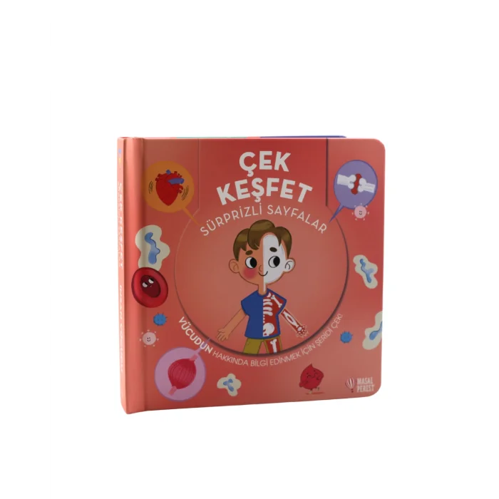 Çek Keşfet İnsan Vücudu