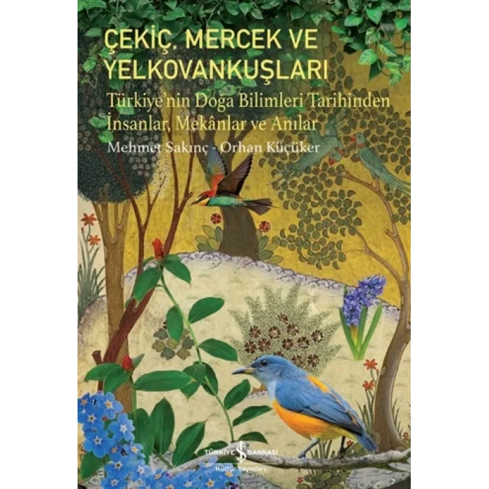 Çekiç, Mercek ve Yelkovankuşları