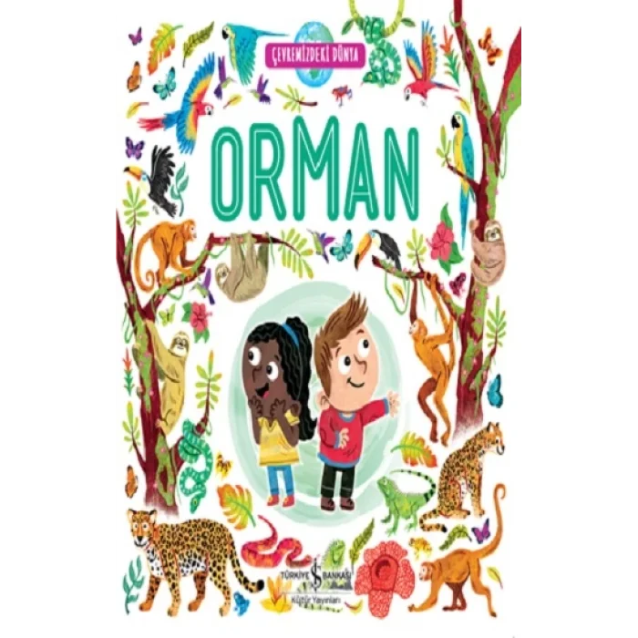 Çevremizdeki Dünya Orman